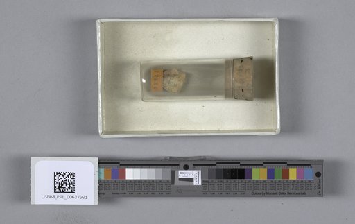 NSF ADBC EPICC TCN