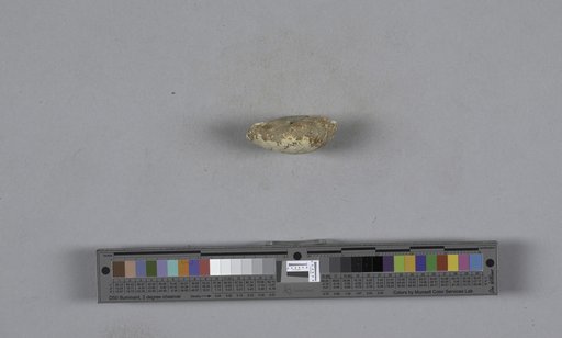 NSF ADBC EPICC TCN