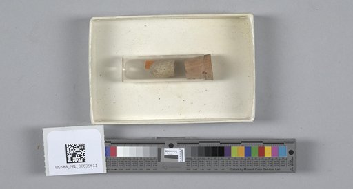 NSF ADBC EPICC TCN