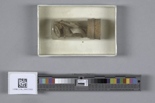 NSF ADBC EPICC TCN