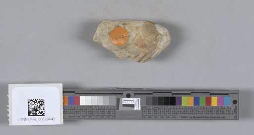 NSF ADBC EPICC TCN