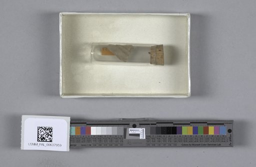 NSF ADBC EPICC TCN