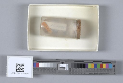 NSF ADBC EPICC TCN