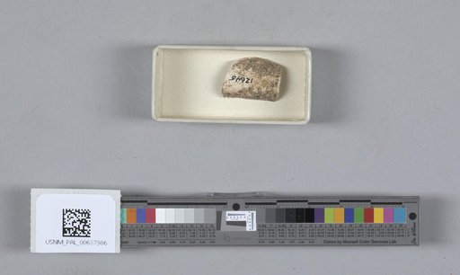 NSF ADBC EPICC TCN