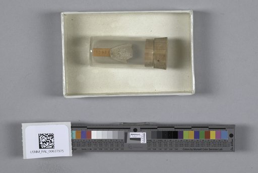NSF ADBC EPICC TCN