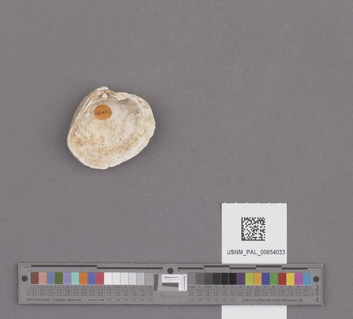 NSF ADBC EPICC TCN
