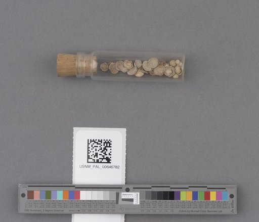NSF ADBC EPICC TCN