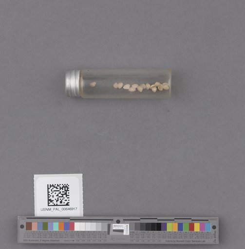 NSF ADBC EPICC TCN