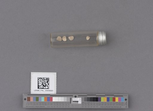 NSF ADBC EPICC TCN