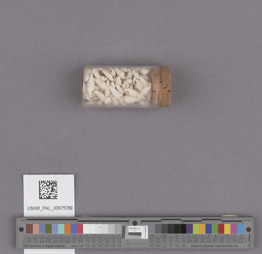 NSF ADBC EPICC TCN