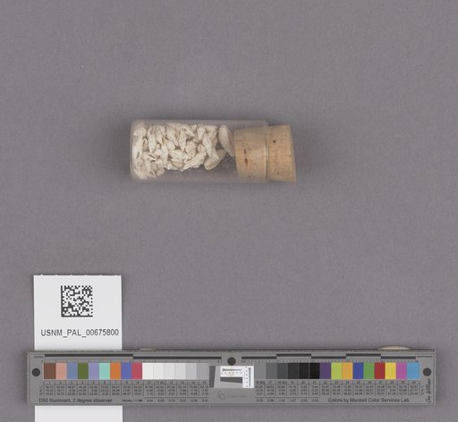 NSF ADBC EPICC TCN