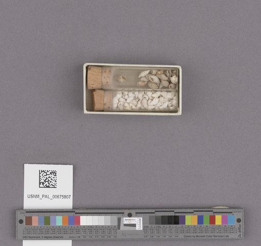NSF ADBC EPICC TCN
