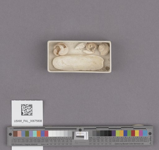 NSF ADBC EPICC TCN