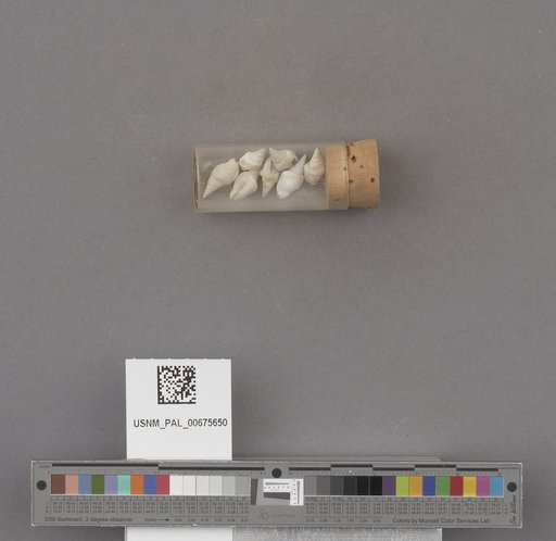 NSF ADBC EPICC TCN