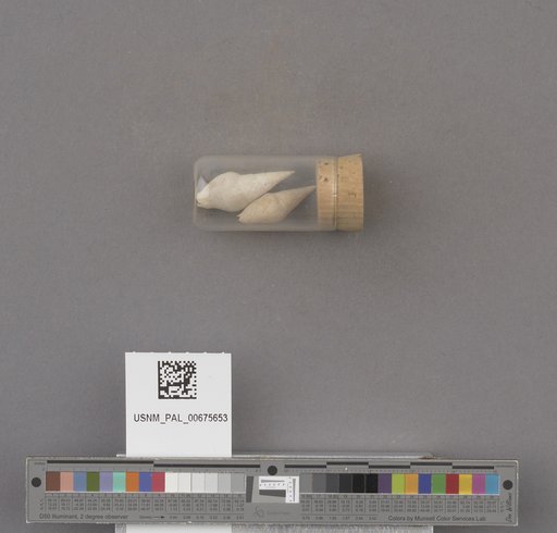 NSF ADBC EPICC TCN