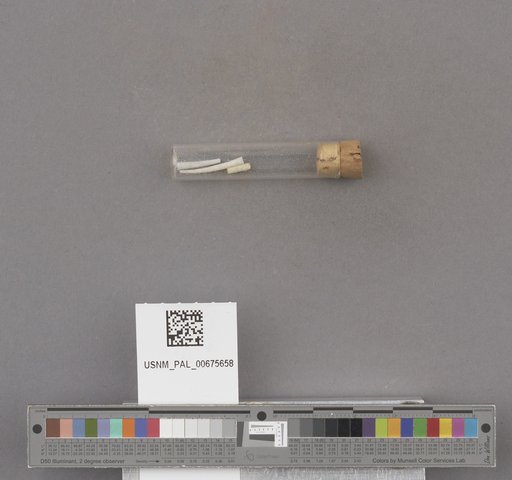 NSF ADBC EPICC TCN