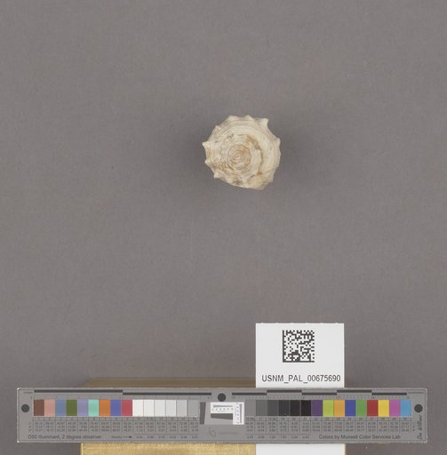 NSF ADBC EPICC TCN