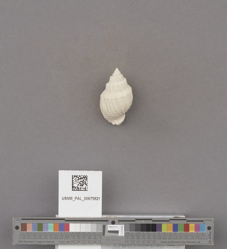 NSF ADBC EPICC TCN