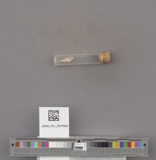 NSF ADBC EPICC TCN