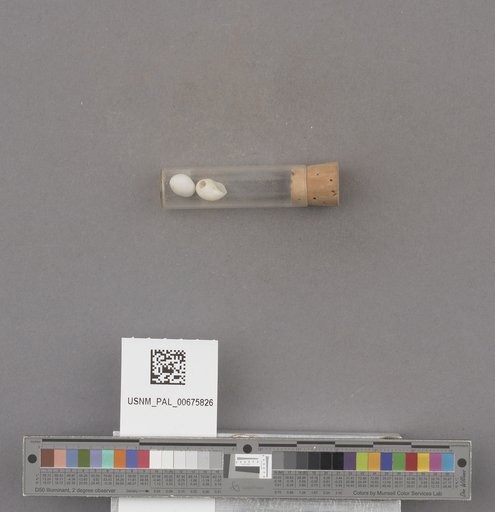 NSF ADBC EPICC TCN