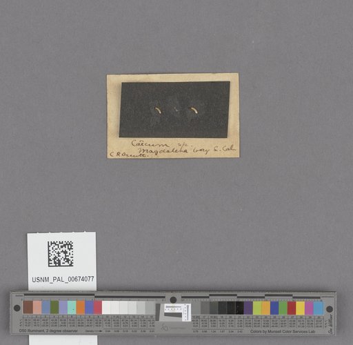 NSF ADBC EPICC TCN