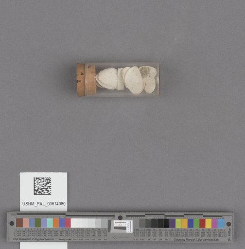 NSF ADBC EPICC TCN