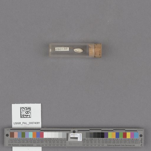 NSF ADBC EPICC TCN