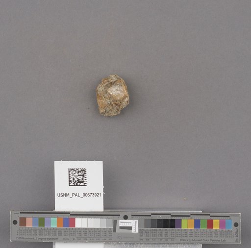NSF ADBC EPICC TCN