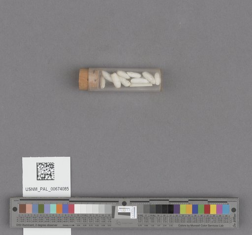 NSF ADBC EPICC TCN