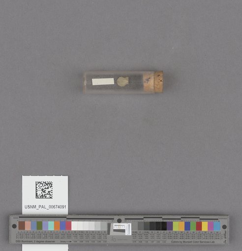 NSF ADBC EPICC TCN
