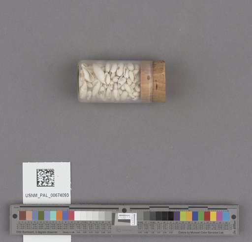 NSF ADBC EPICC TCN