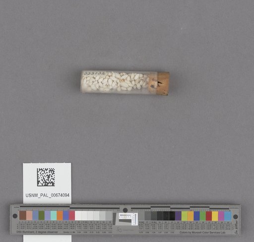 NSF ADBC EPICC TCN