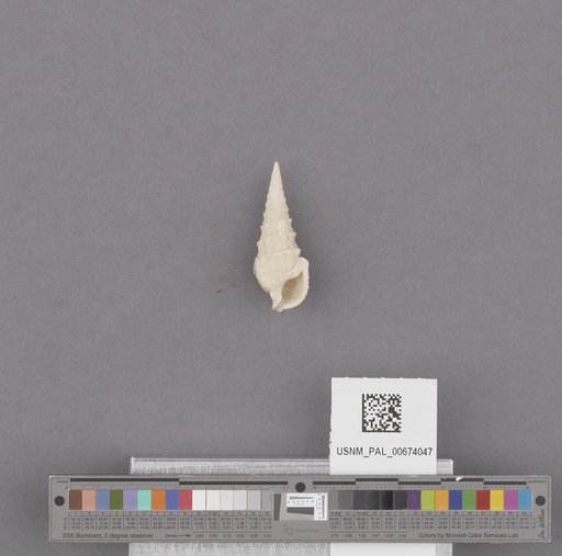 NSF ADBC EPICC TCN