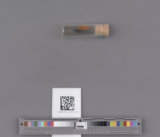 NSF ADBC EPICC TCN