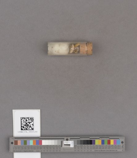 NSF ADBC EPICC TCN