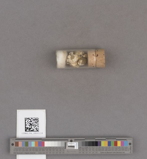 NSF ADBC EPICC TCN
