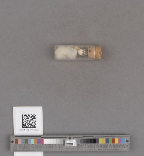 NSF ADBC EPICC TCN