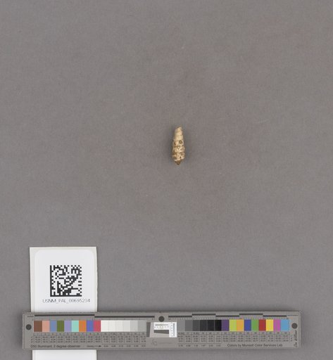 NSF ADBC EPICC TCN