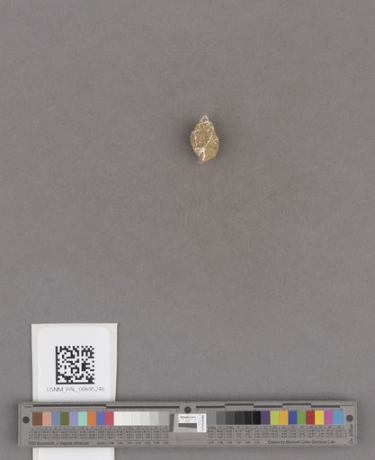 NSF ADBC EPICC TCN