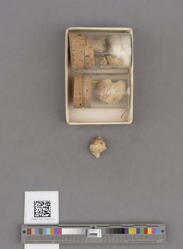 NSF ADBC EPICC TCN