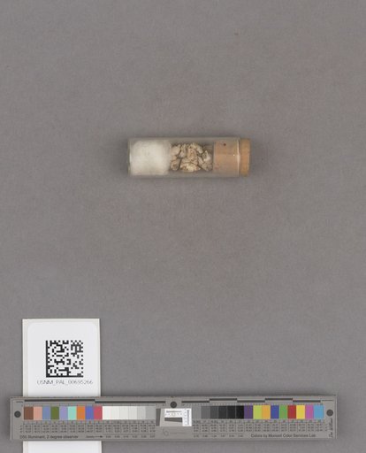 NSF ADBC EPICC TCN