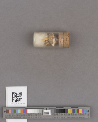 NSF ADBC EPICC TCN