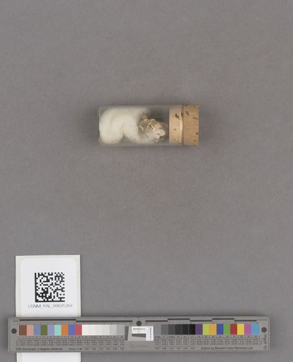NSF ADBC EPICC TCN