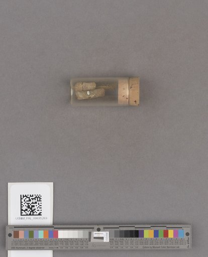 NSF ADBC EPICC TCN