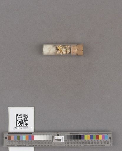 NSF ADBC EPICC TCN