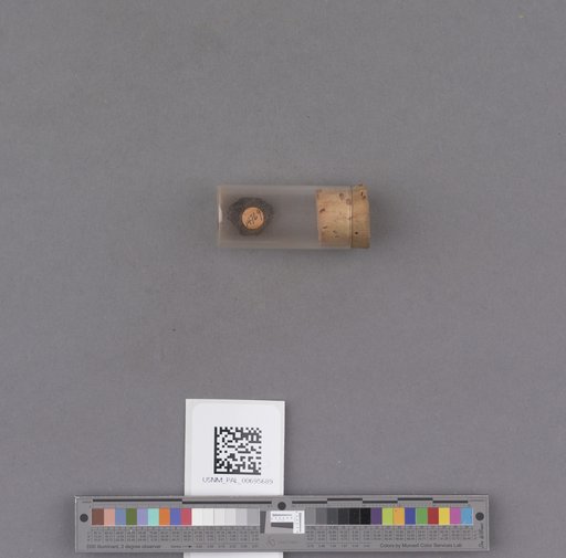 NSF ADBC EPICC TCN