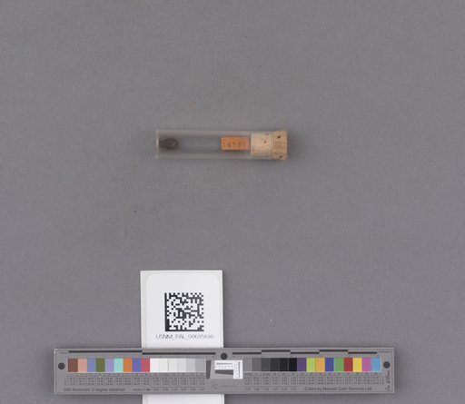 NSF ADBC EPICC TCN