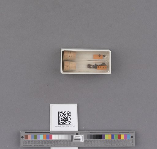 NSF ADBC EPICC TCN