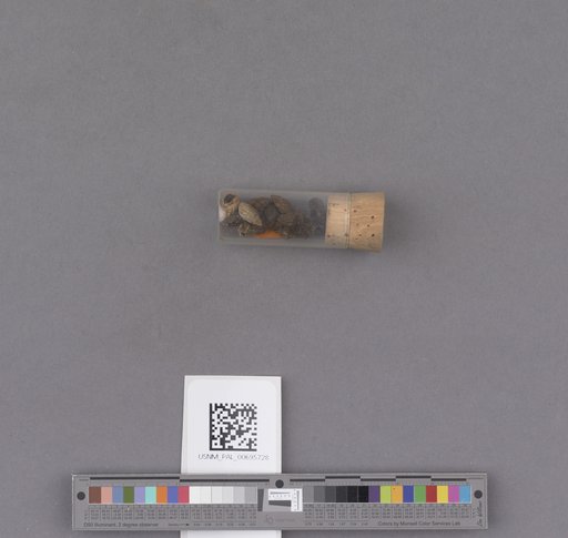 NSF ADBC EPICC TCN
