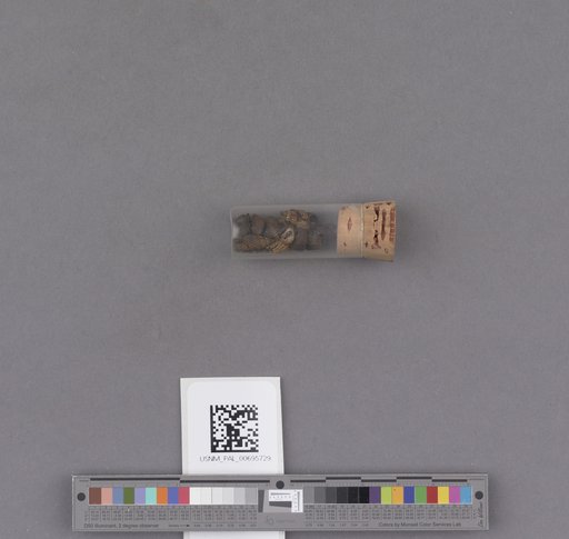 NSF ADBC EPICC TCN